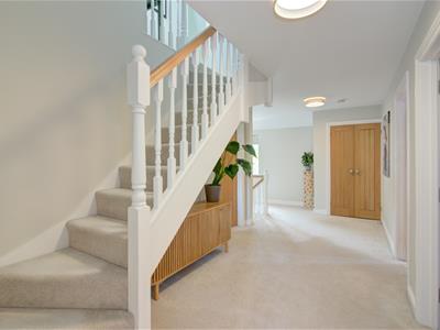 Picture 11